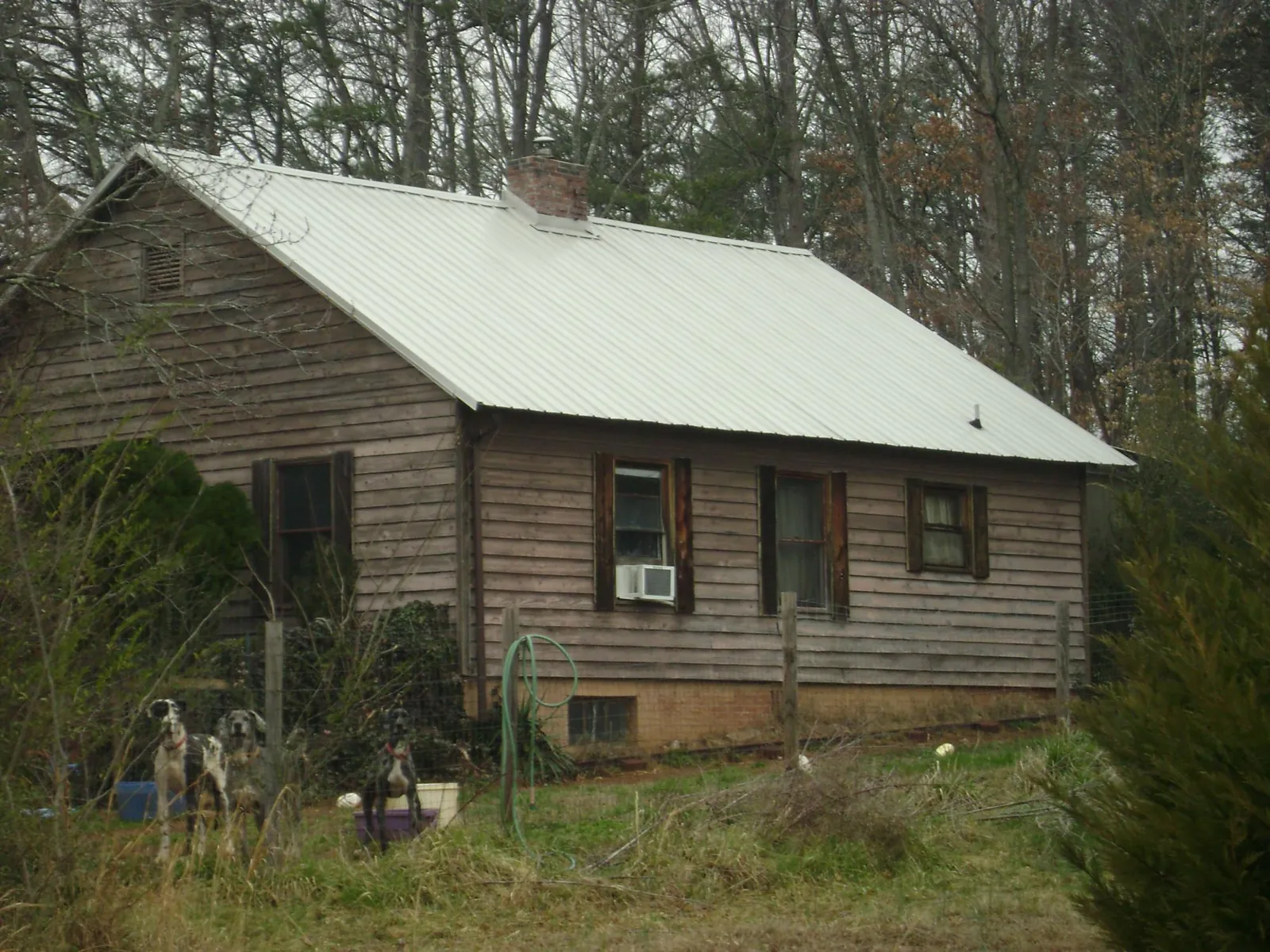 White metal roof on an old wood sided farmhouse, from a Asphalt Shingle Roof Repair job in Youngstown